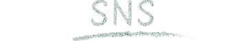 SNS